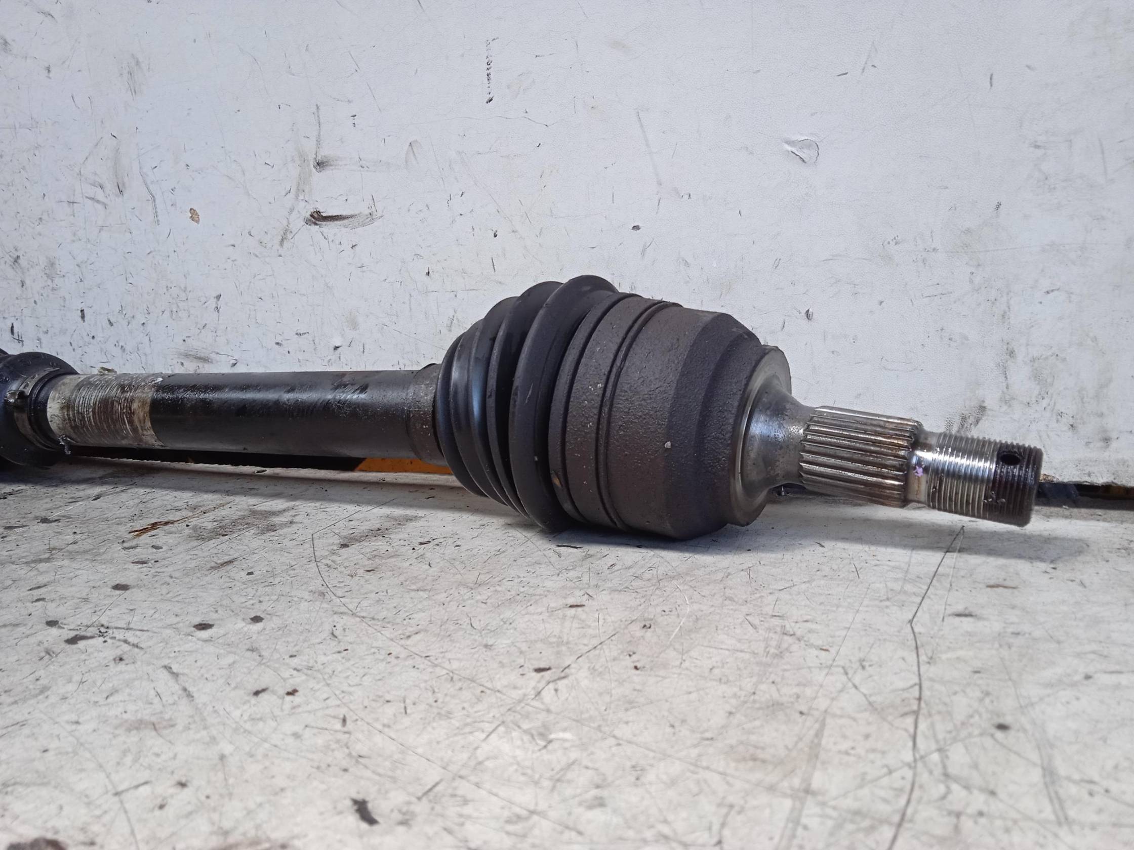 Semialbero ant. compl. dx.